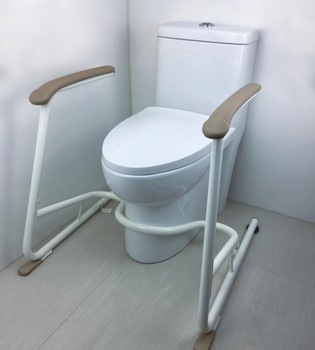 50500079-Anti-bacterial Safety Toilet Seat Frame